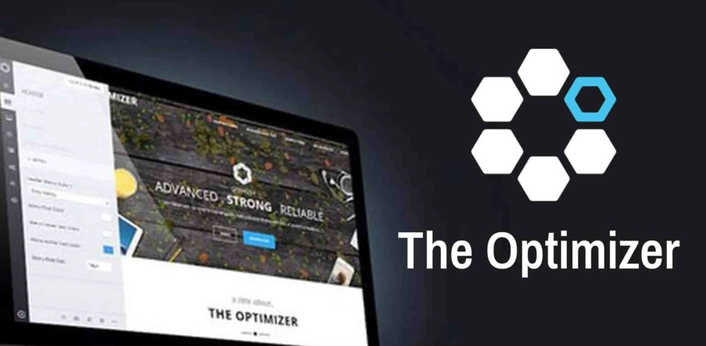 the_optimizier